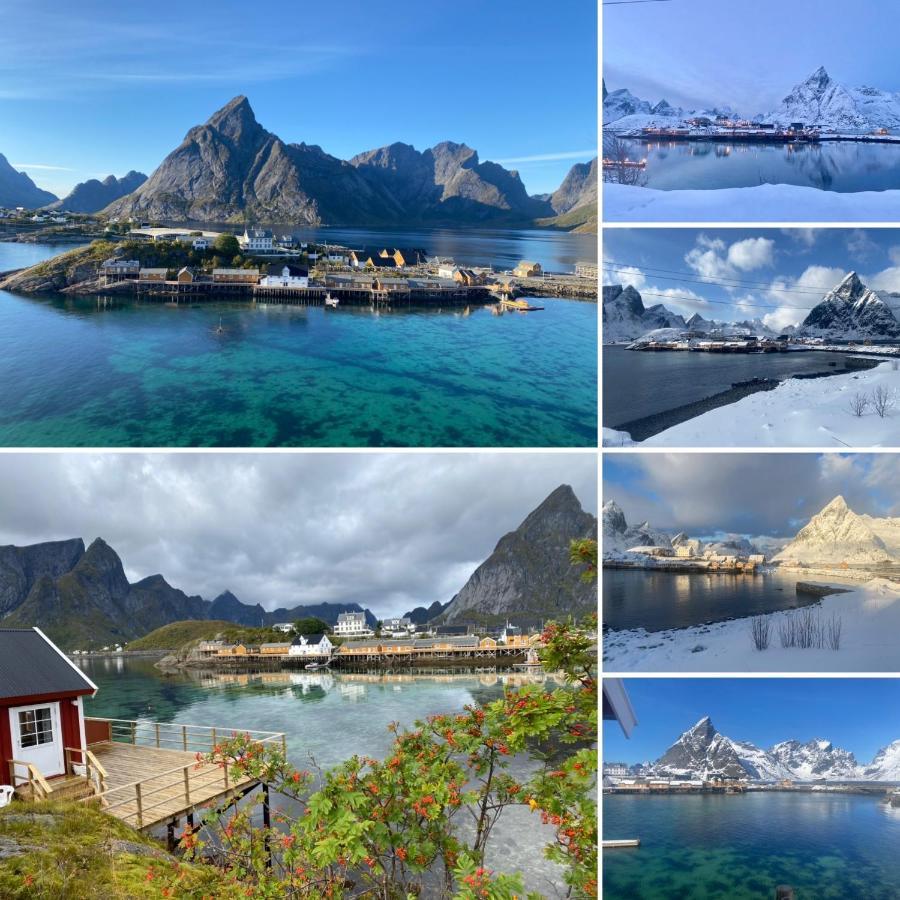 Lofoten Villa Reine Zewnętrze zdjęcie